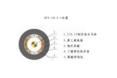 SYV-50-2-1電纜結構圖