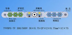 扁平絞合型排列帶屏蔽、鋼芯和視頻線(xiàn)電梯電纜