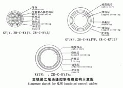 KYJV，KYJVP，KYJV22額定電壓0.6/1kV交聯(lián)聚乙烯絕緣控制電纜