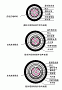 機車(chē)數字信號線(xiàn)鐵路數字信號電纜