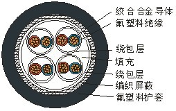 熱電偶專(zhuān)用高溫電纜