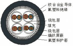 熱電偶專(zhuān)用高溫測量電纜線(xiàn)AKFFPXR200,ANFFPXR200