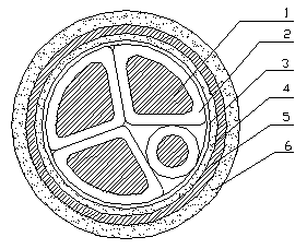 YJV-P YJVP VVP VV-P ZR-VV-P ZR-YJV-P 金屬屏蔽電力電纜 第1張